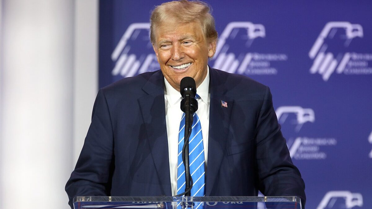 Donald Trump Let One Cat Out of the Bag That Exposed This Nefarious Plot
