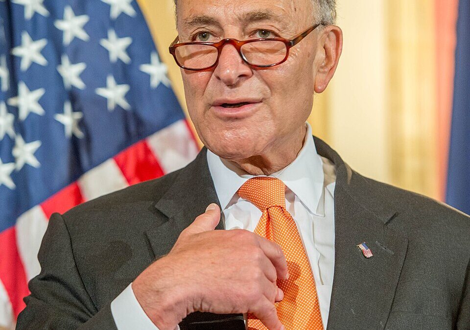 One undercover video just slammed Chuck Schumer like a dump truck