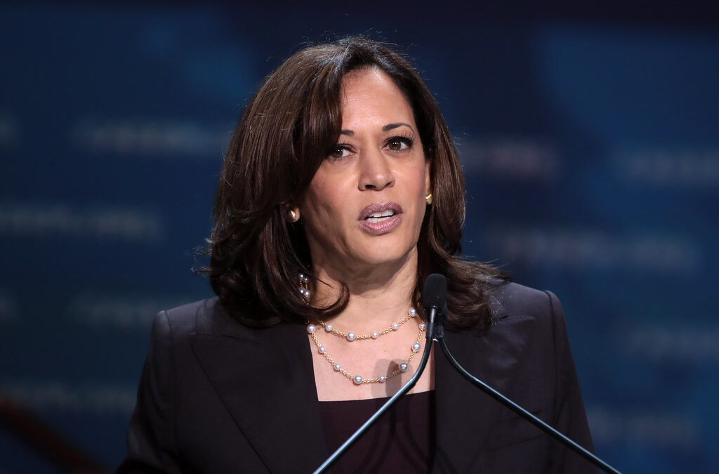 Kamala Harris’ 2029 comeback faced this shokcing group drawing the knives out