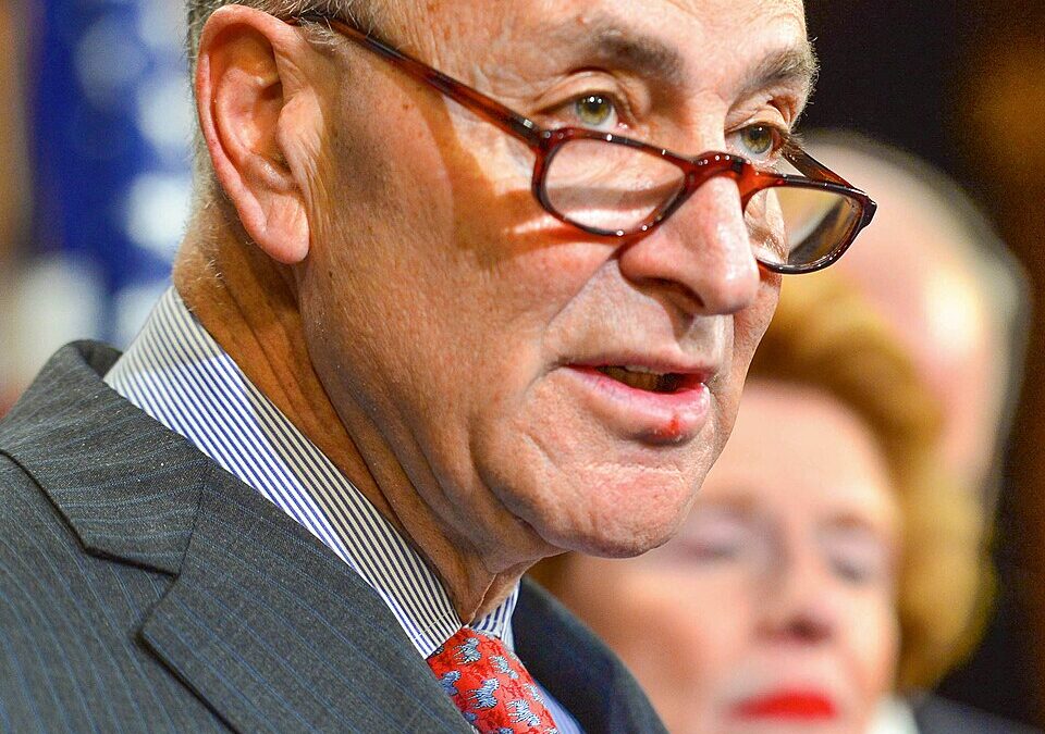 Chuck Schumer Threw Trump a Party With This Stunning Senate Admission